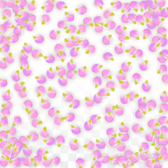 Vector Realistic Pink Petals Falling on Transparent Background.  Spring Romantic Flowers Illustration. Flying Petals. Sakura Spa Design. Blossom Confetti.