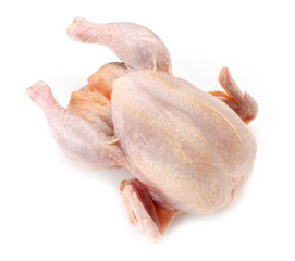 Chicken carcass or broiler chicken isolated on white background