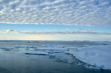 Obraz premium Antarctica; ice landscape on the ocean