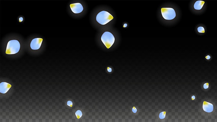 Vector Realistic Blue Petals Falling on Transparent Background.  Spring Romantic Flowers Illustration. Flying Petals. Sakura Spa Design. Blossom Confetti.