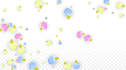 Vector Realistic Colorful Petals Falling on Transparent Background.  Spring Romantic Flowers Illustration. Flying Petals. Sakura Spa Design. Blossom Confetti. Design Elements for Wedding Decoration.