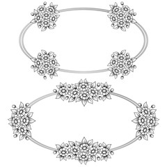 Daisy flowers ellipse frames