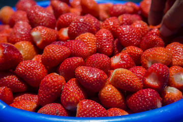  Strawberry