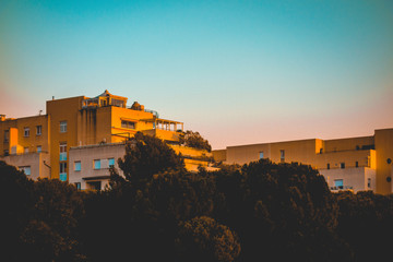 warm colored apartment buildings framed by trees in the afternoon sun