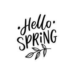 Obraz premium Hand drawn lettering hello spring for print, card, banner. Typography hello spring with leafs.