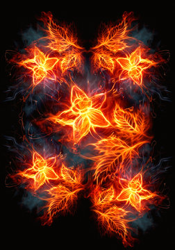 Blooming Roses From Fire And Flames Artwork On A Black Background