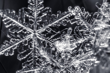 Snowflake on a balck background - macro photo