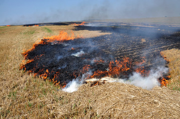 On the field burning stubble and straw