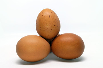 Some chicken eggs on white background.