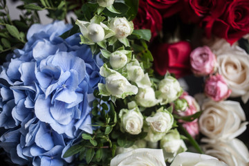 light blue hydrangea and red and white roses. The bride's bouquet. Mother's Day and March 8