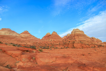 Explore the Coyote Buttes