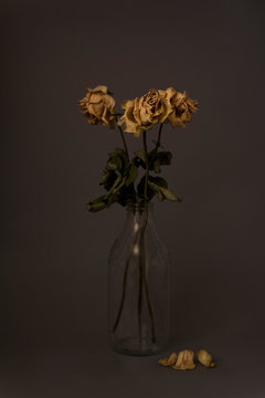 Dried yellow roses on dark background