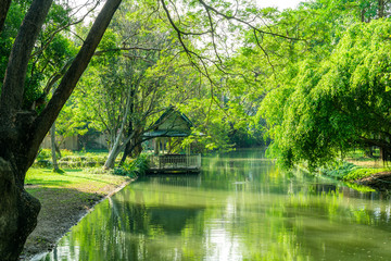 Fototapeta premium The waterfront pavilion in the garden is adjacent to the waterfront in a lush, shady atmosphere.