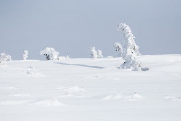 Winter landscape in Krkonose (Poland, Czech Republic)