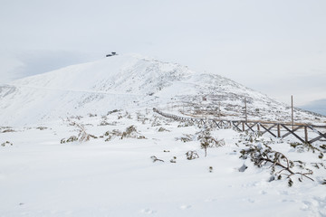 Peak of the Snezka mountain in winter (Krkonose)