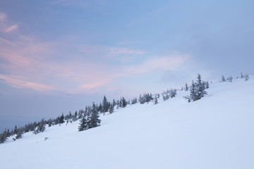 Evening mood in Krkonose mountains