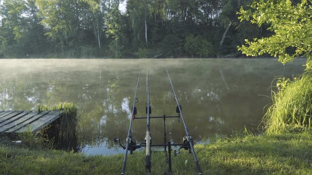 Carp rods on fishing pond