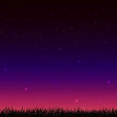 Night starry sky and dark grass ground silhoutte background