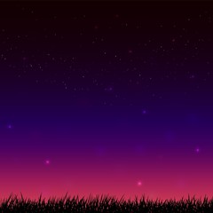 Fototapeta na wymiar Night starry sky and dark grass ground silhoutte background