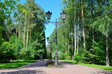 Path in the Park