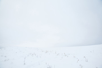 Countryside winter landscape