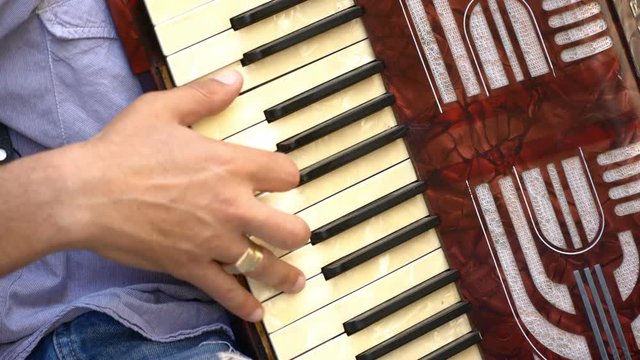 Musical instrument accordion in the hands of a male musician. The concept of culture and art.