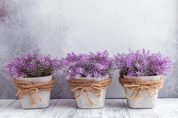 Wandaufkleber Small purple flowers in gray ceramic pots on stone background Rustic style Copy space © lizaelesina