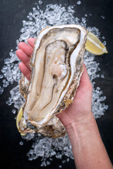 Fresh large rock oyster offered in a woman hand as closeup opened with sliced lemon on crushed ice...
