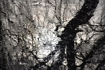 spiegelnde Eisfläche mit Bäumen