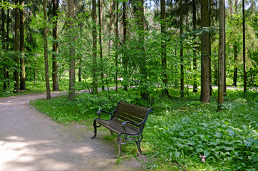 Forest path. Bench in the Park.