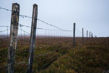 Obraz premium A hiking trail in the Dublin Mountains, Ireland