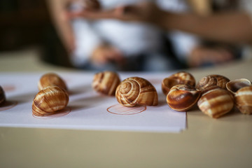 Mom makes game with shells from scrap materials