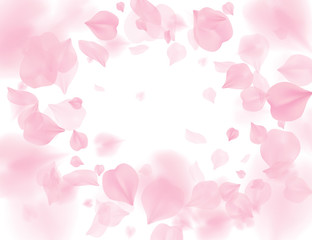 Pink sakura petals falling flower vector background. Romantic blossom isolated on white background. Overlay Valentines 3D illustration. Spring tender light center backdrop. Tenderness romance design. © iaroslavka