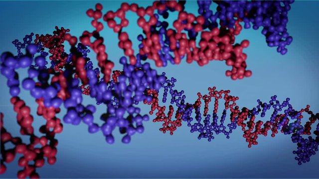 DNA close-up, DNA Molecule Model, DNA Strands, DNA animation

