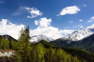 Fototapeta premium Scenic views of the Swiss national Park with a road on sunny spring day.