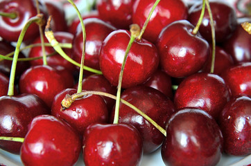 ripe cherry closeup 