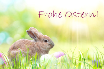 Ostern Grusskarten Motiv-Häschen mit Ostereiern