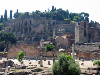Forum, heart of ancient Rome. See the temple of castor  and Pollux, Basilica Emilia,the house westalack and  other ancient monuments, Italy, Europe