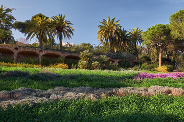 Fototapeta na wymiar The Austria Gardens in the Park Guell with palms, pine trees, green grass and flowers. Spring in Barcelona.
