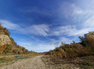 the mountain autumn landscape with colorful forest