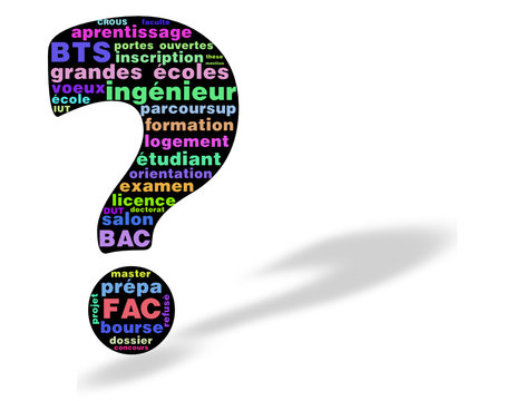 Nuage de mots : Orientation, &eacute;tudes sup&eacute;rieures