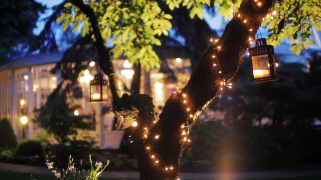 Wonderful B-roll or Background Video of a Decorated Tree with Garland and Lanterns in Night in the Garden of a Luxury Restaurant