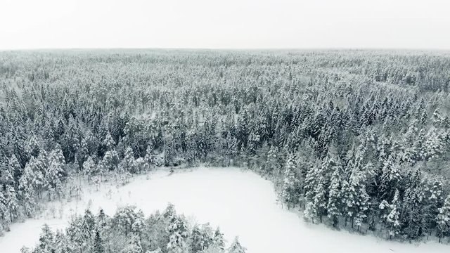 Aerial, drone shot, over a island, on Haukkalampi pond, towards endless, winter forest, of snow covered, pine or spruce trees, on a cloudy day, in Nuuksio national park, in Espoo, Uusimaa, Finland