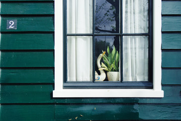 Zaanse Schans, Holland. A goose and a small tree beside window. Close-up. 