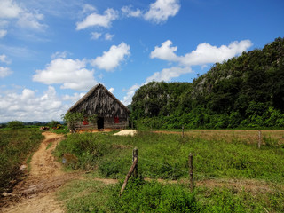 Casa de campo en vi&ntilde;ales - Cuba