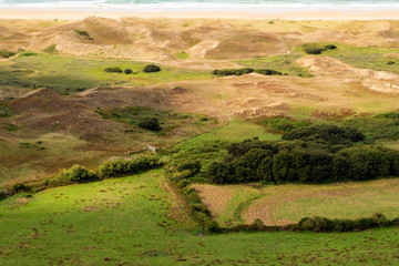 Biville dunes, nature reserve near Vasteville and Heauville, Cotentin, La Hague, English Channel, Normandy, France