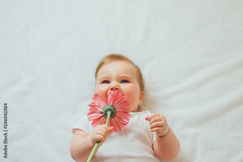 Wall mural beautiful baby holding a flower on white background