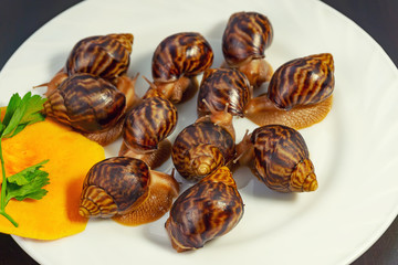 grape snails, akhatina, on a plate, as crude food, a rawism
