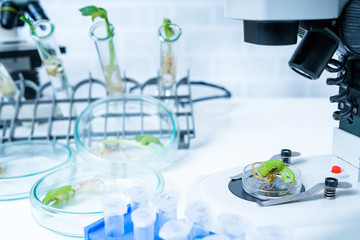 Ecology laboratory exploring new methods of plant breeding