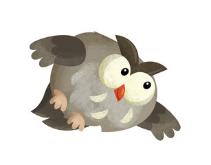cartoon scene with owl animal on white background - illustration for children